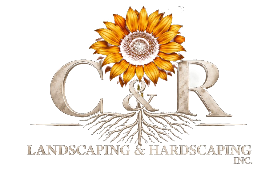 C&R ivory stone sunflower and roots logo